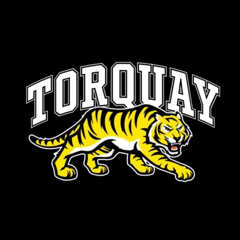 Torquay Tigers Sponsored By Mayne's Power, Local Electricians In Torquay