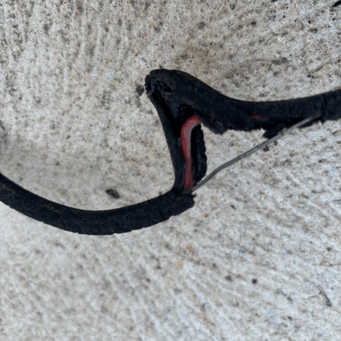 Rewiring Post Image 2