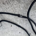 Rewire, Anglesea