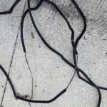 Rewire, Anglesea
